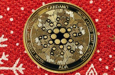 Cardano-backed decentralized exchange ADAX officially debuts on the mainnet