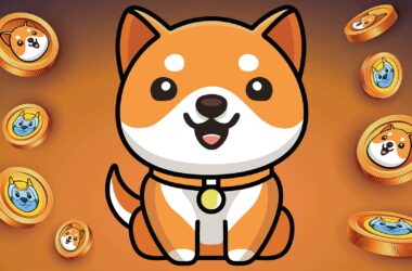 Baby Doge hints its entry into metaverse with decentraland