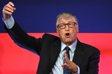 Bill Gates Claim That Cryptocurrencies and NFTs Are Driven by Sentiments