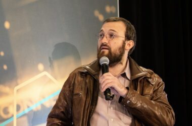 Cardano Needs Additional Developers for Expansion, Says Charles Hoskinson