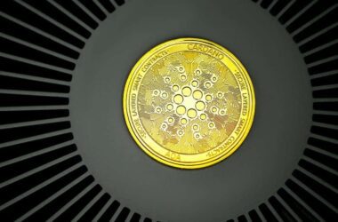 Cardano Founder Corrected User On ADA's Worth In Jan 2021