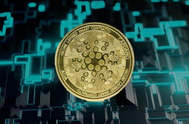 Cardano’s Hoskinson Explains Why Burning ADA Is Not as Simple as It Sounds