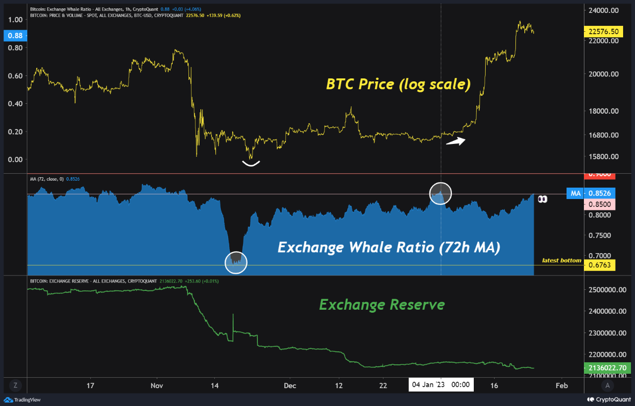 Ratio baleine d'échange Bitcoin
