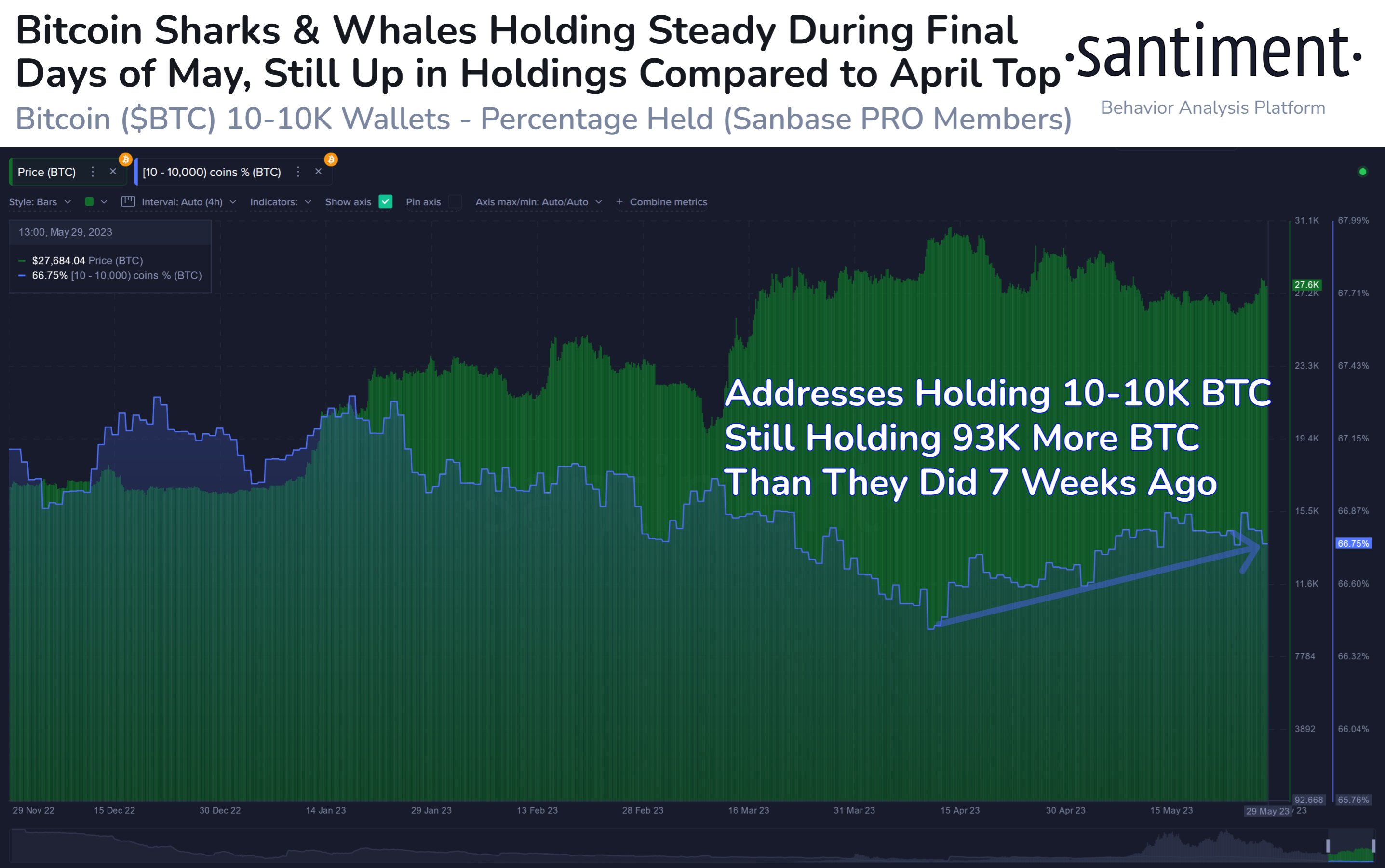 Requins et baleines Bitcoin