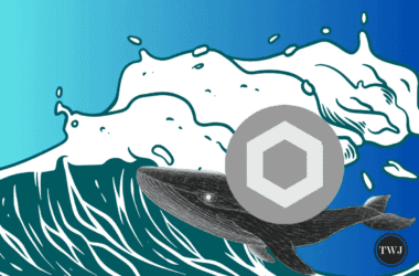 Chainlink (LINK) Attracts Whales Amid Price Surge and Reversal Risk