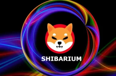 Shibarium Testnet Hits New Record of Transactions, SHIB Dev Celebrates